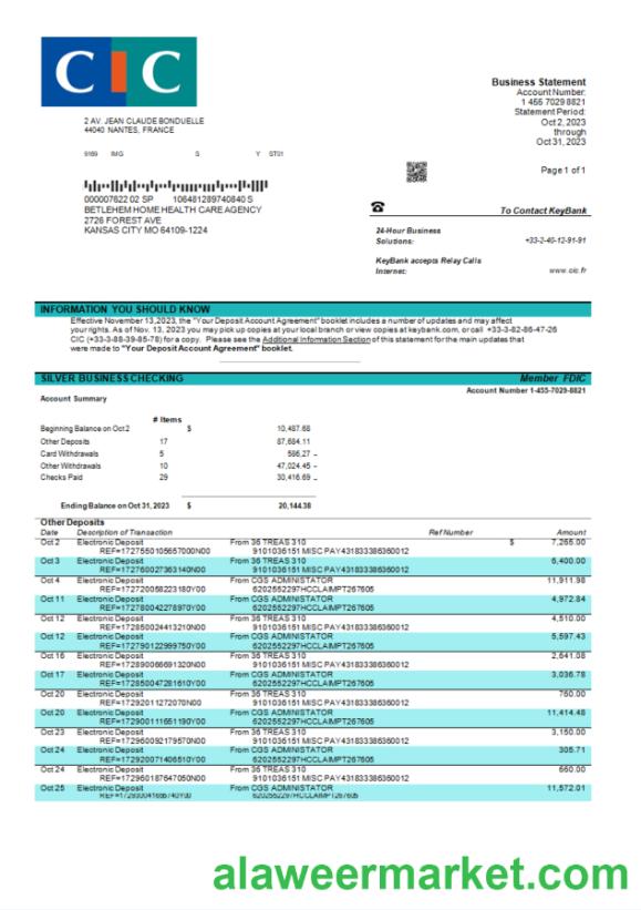 CIC Bank enterprise statement Word and PDF template